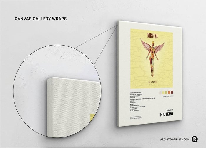 Nirvana - Album Reflection