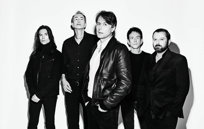 Suede. CREDIT: Dean Chalkley