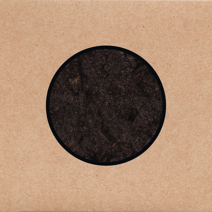 Swans – 'Birthing' official album artwork