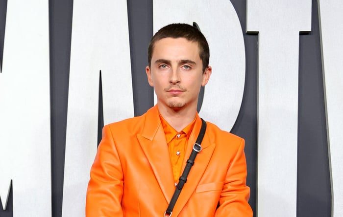 Timothée Chalamet EsDeeKid