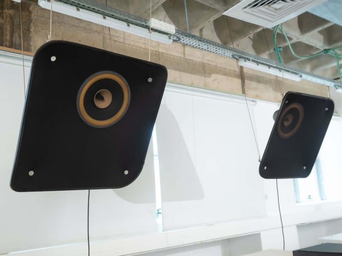 The speaker from a frontal angle, revealing the driver and structural elements