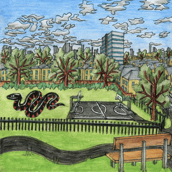 Holly Grove album cover