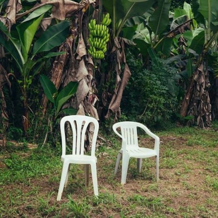 Bad Bunny album cover