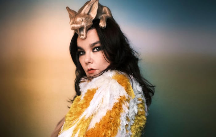 Björk at National Gallery of Iceland exhibition