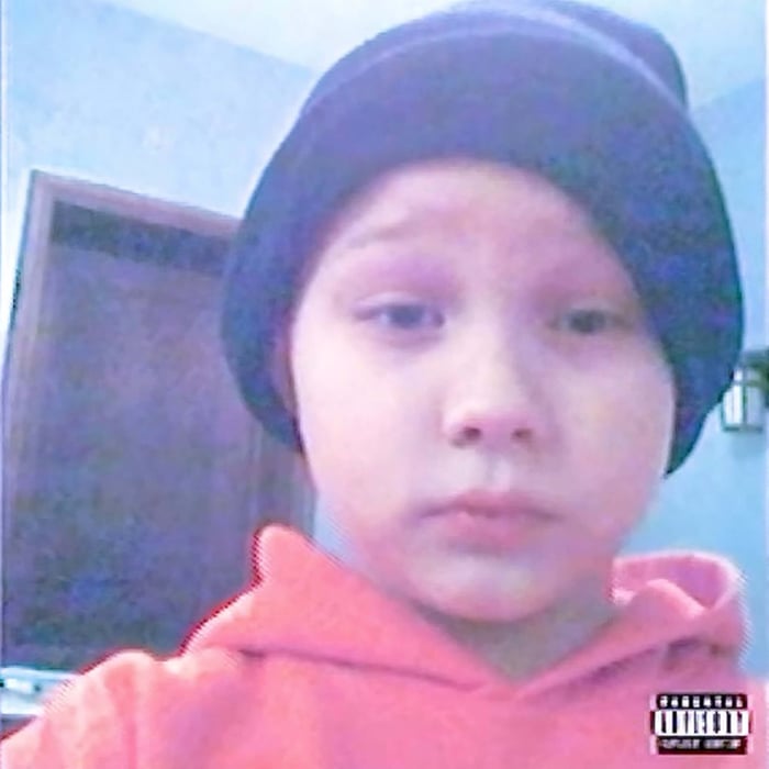 Album cover for Nettspend - early life crisis