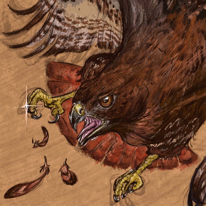 Album cover for insyt. – Rite of Passage
