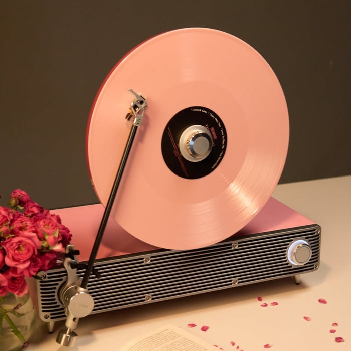 Rear panel showing connectivity options