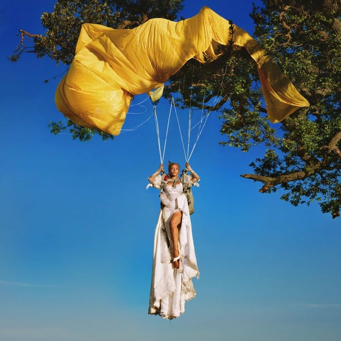 ‘Vie’ album cover art
