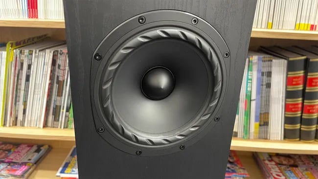 Close-up of Fyne Audio F501E drivers