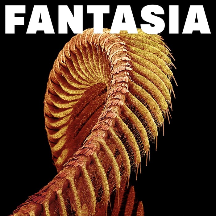 Fantasia album cover with stark psychedelic styling
