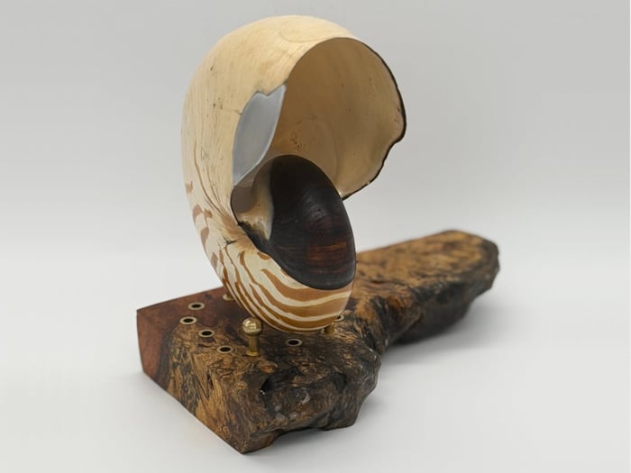 This 500-Million-Year-Old Nautilus Shell Transformed Into a Stunning Speaker