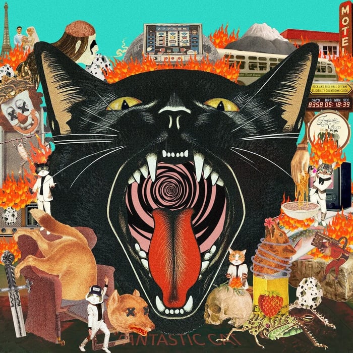 Cat Out Of Hell Album Cover