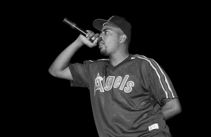 The D.O.C. performs at the Genesis Convention Center in Gary, Indiana in July 1989.