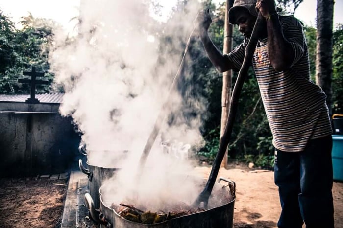 Traditional preparation of ayahuasca, a DMT potion used sacramentally in the Amazon basin.