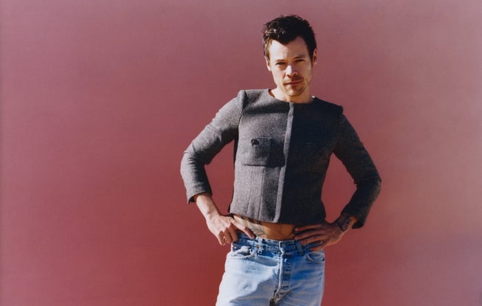 Harry Styles press photo in soft light