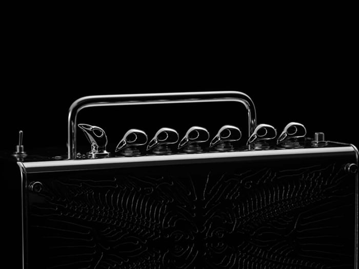 Close-up of the amplifier’s fish skeleton grille design