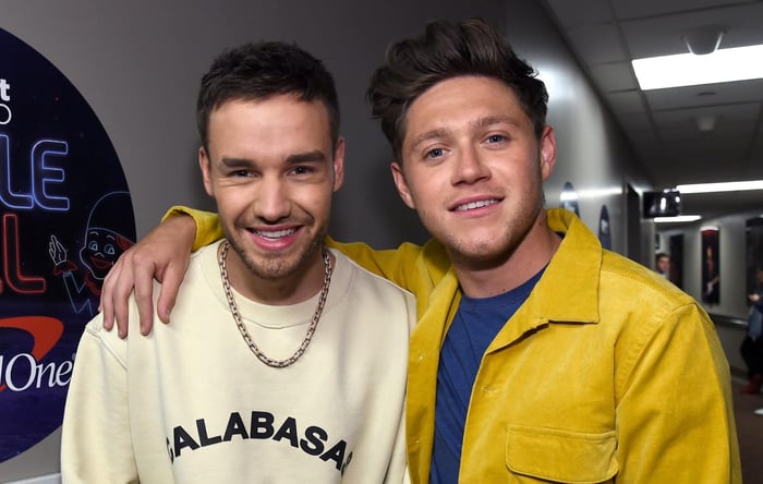 Liam Payne and Niall Horan sharing a moment onstage