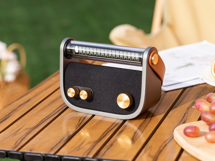 Luna Audio retro speaker handheld with brass knobs