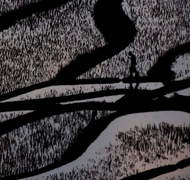 Odd Marshall - Seconds alternate cover image