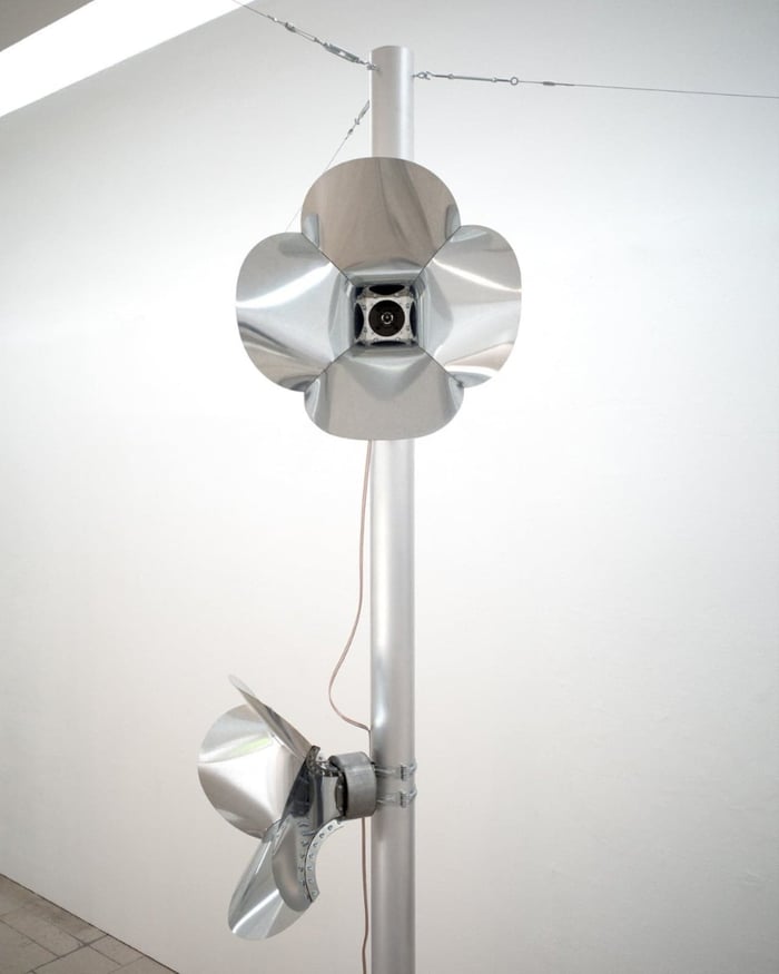 orchid-01.jpg