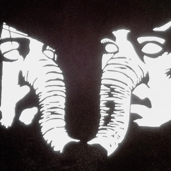 Death From Above 1979 Private Lives album artwork