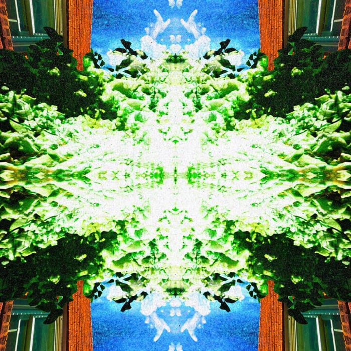 Tarantula Bill Album Cover