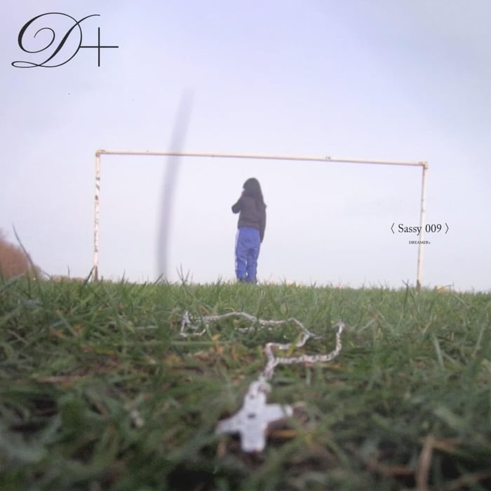 sassy 009 dreamer+ review