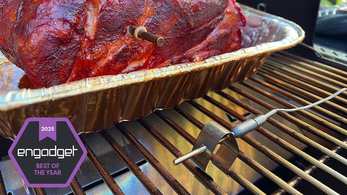 ThermoWorks RFX wireless meat thermometer