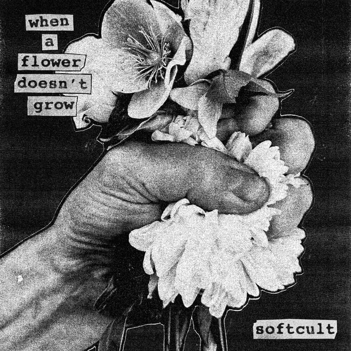 softcult when a flower doesn’t grow review