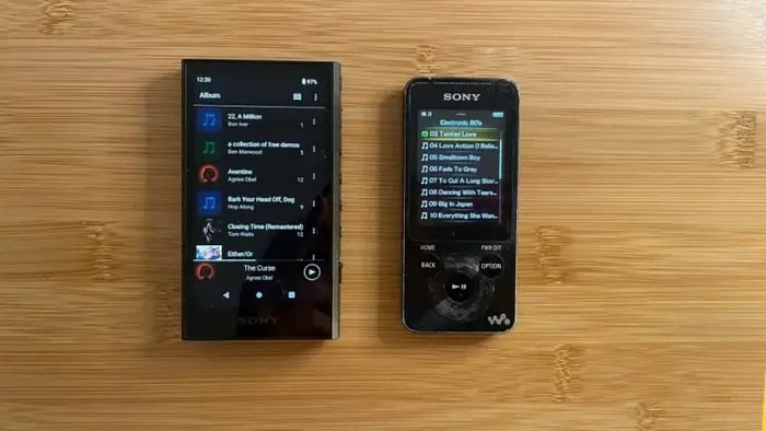 Sony NW-A306