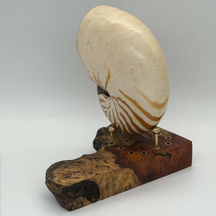 Custom silicone cartridge housing the vibration exciter