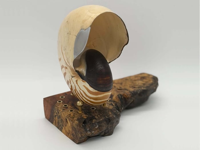 Nautilus shell speaker with steampunk metal repairs