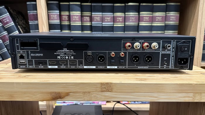 FiiO S15 streamer rear connectivity