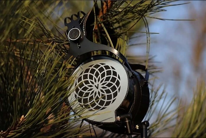 Outstanding sound and build quality justify the price