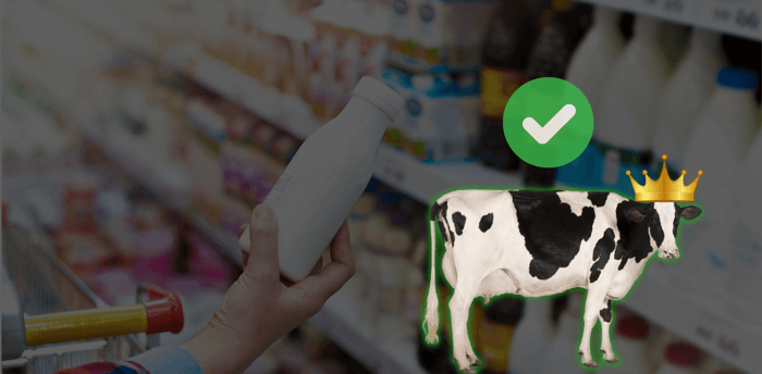 cow milk vs camel milk vs goat milk availibility