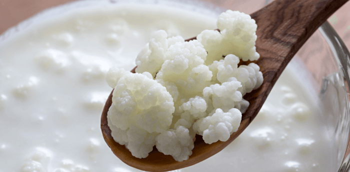 Camel milk kefir