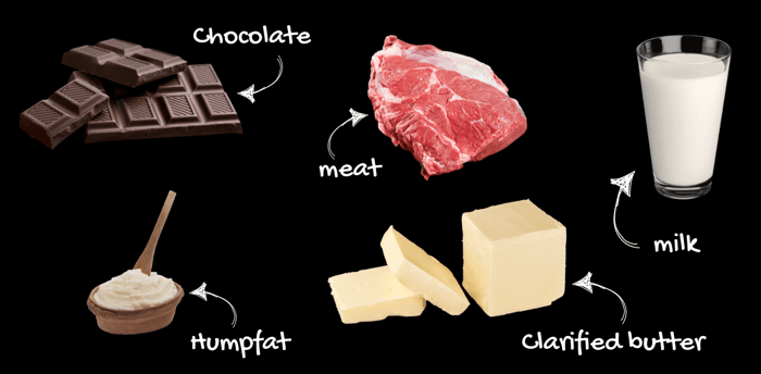 Camel products