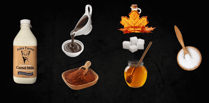 What You'll Need to Make Chocolate Camel Milk at Home
