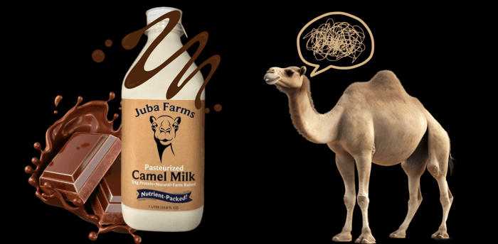 Chocolate camel milk graphic