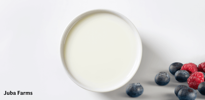 cup of camel milk with fruits for kids