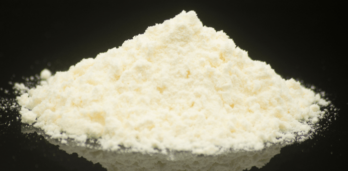Powdered camel milk