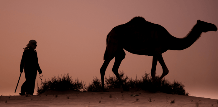 Science behind camel milk