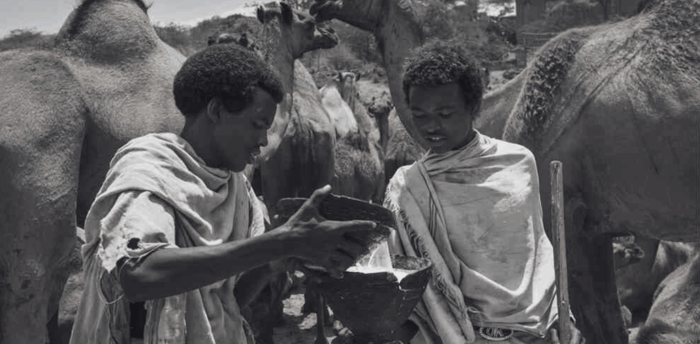 somali nomads drinking camel milk