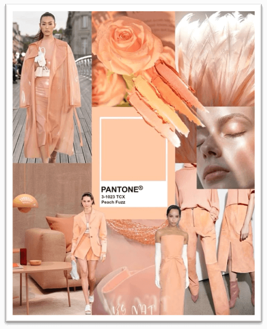 Color Trends 2026 |  Peach Powder