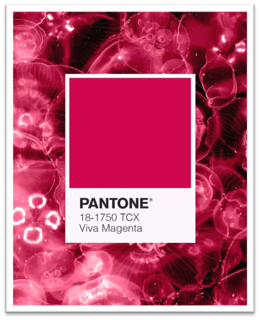 Color Trends 2026 | Fuchsia Red