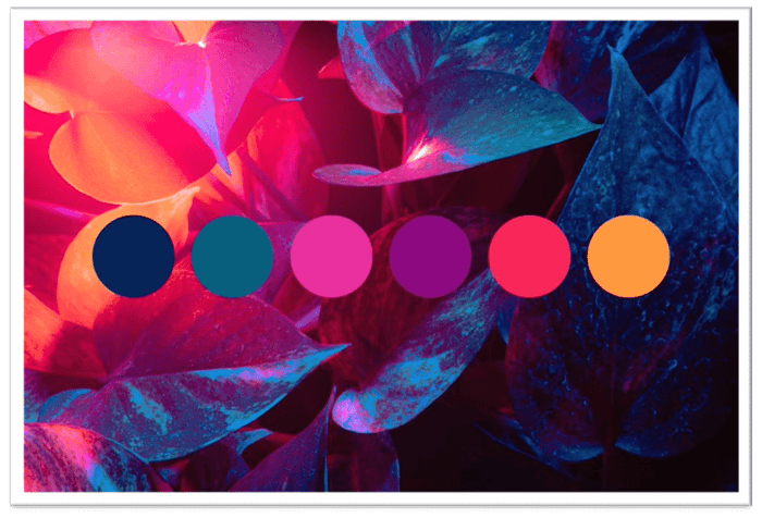 How United Lace Translates Color into Fabric Expression