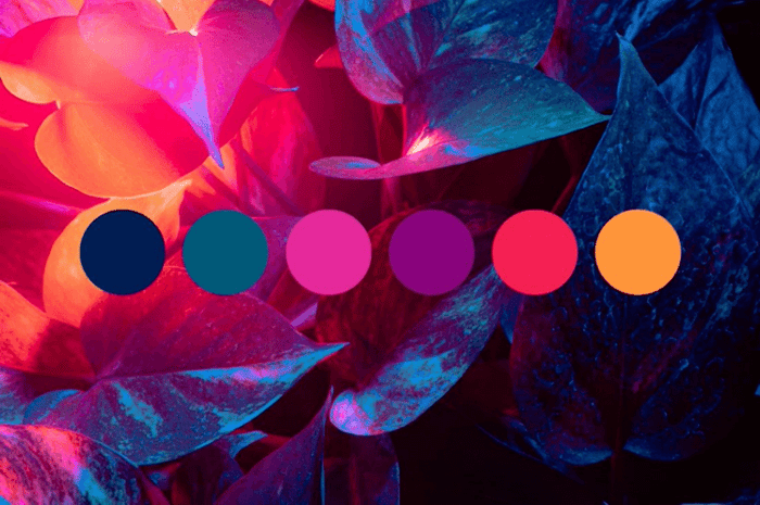 Lace Fabrics for Modern Fashion Brands 2026 | Wholesale Lace Fabric Thailand