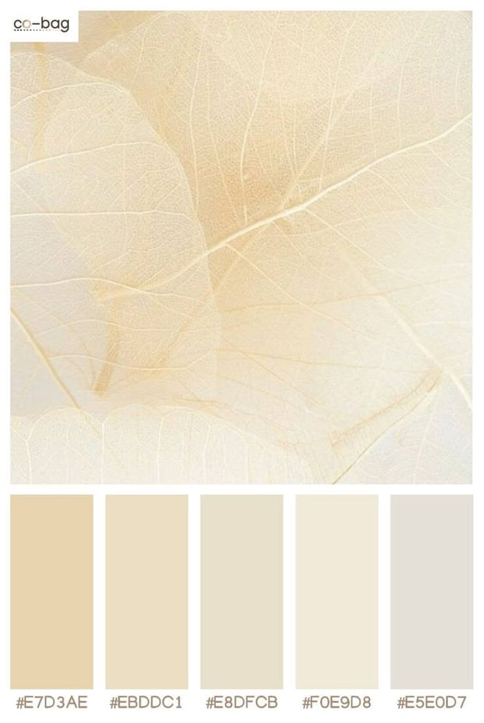 Luxury ไม่ได้มาจากความเยอะ: ทำไมลูกไม้ยุคใหม่ถึง ‘นิ่ง แต่ดูแพง