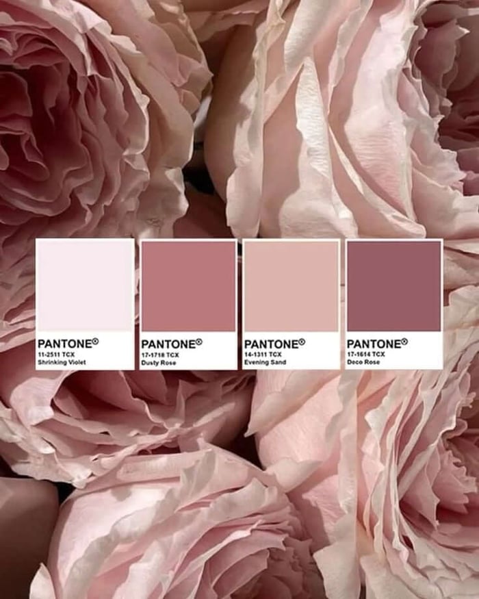 Luxury ไม่ได้มาจากความเยอะ: ทำไมลูกไม้ยุคใหม่ถึง ‘นิ่ง แต่ดูแพง