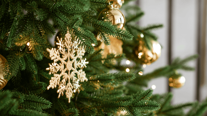 Love Letters: Sophie & Bailey’s Christmas Story